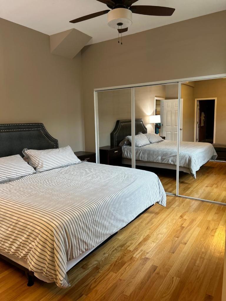 Gorgeous North Kenwood Hyde Park Unit Apartment Chicago Exterior photo